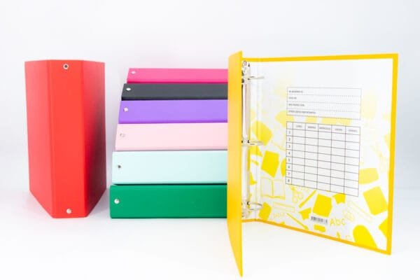CARPETA DE PVC ESCOLAR N°3 - Imagen 13