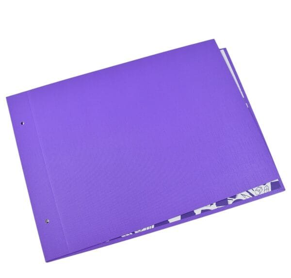 CARPETA FORRADA DE DIBUJO EN PVC N°5 - Imagen 11